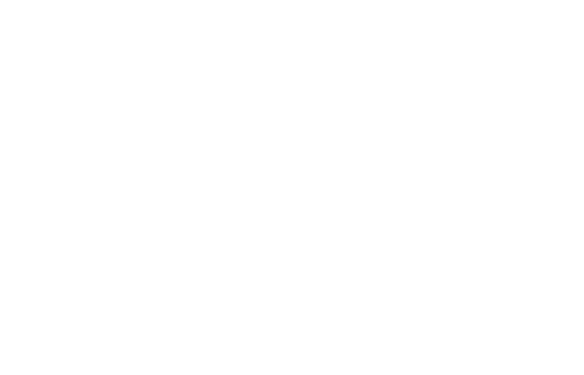 Jetfly